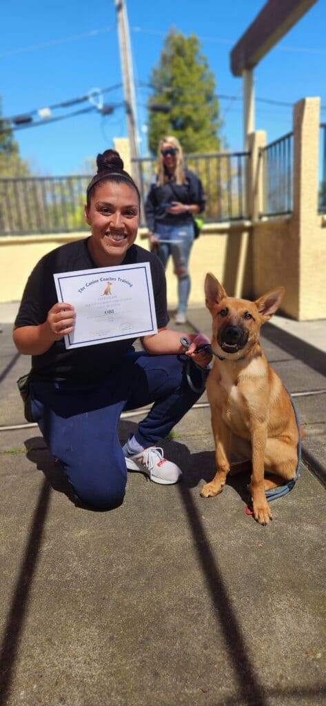 puppy and adult holding a certificate from passing puppy preschool